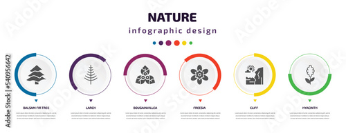nature infographic element with icons and 6 step or option. nature icons such as balsam fir tree, larch, bougainvillea, freesia, cliff, hyacinth vector. can be used for banner, info graph, web,