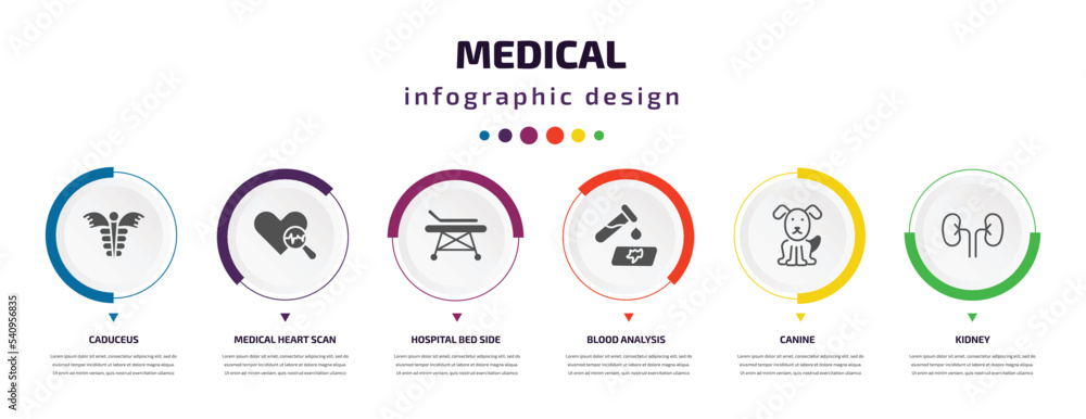 medical infographic element with icons and 6 step or option. medical icons such as caduceus, medical heart scan, hospital bed side view, blood analysis, canine, kidney vector. can be used for medical infographic element with icons and 6 step or option. medical icons such as caduceus, medical heart scan, hospital bed side view, blood analysis, canine, kidney vector. can be used for