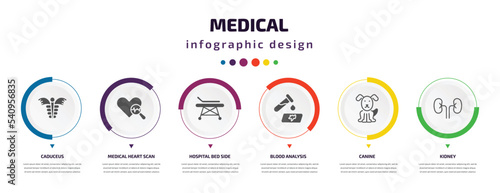 medical infographic element with icons and 6 step or option. medical icons such as caduceus, medical heart scan, hospital bed side view, blood analysis, canine, kidney vector. can be used for