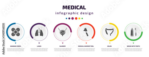 medical infographic element with icons and 6 step or option. medical icons such as bandage cross, lungs, bladder, medical hammer tool, colon, brush with tooth paste vector. can be used for banner,