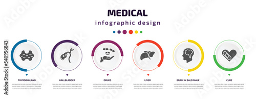Vászonkép medical infographic element with icons and 6 step or option