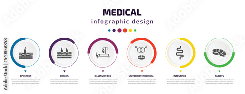 medical infographic element with icons and 6 step or option. medical icons such as epidermis, dermis, illness on bed, united heterosexual, intestines, tablets vector. can be used for banner, info