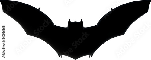 A bat on a white background. Kelelawar. cave bloodsuck mouse. Halloween Simbol in 3d vector photo