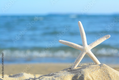 Beautiful starfish on sandy beach near sea  closeup. Space for text