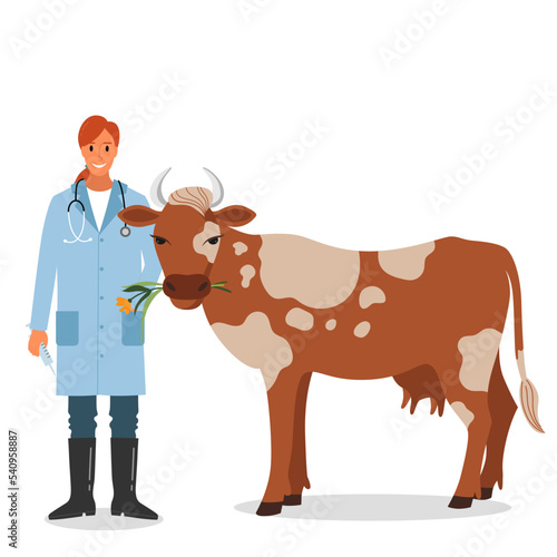 Cow and veterinarian isolated.