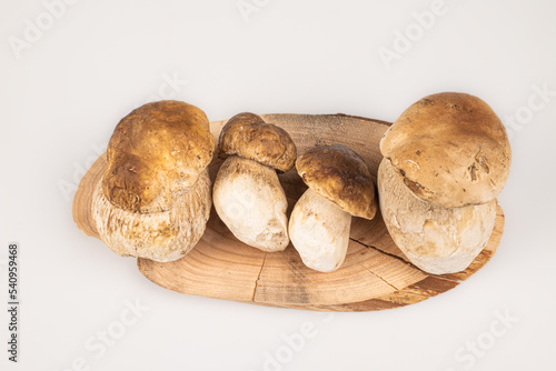 Group of fresh mushrooms, boletus edulis on wooden board with white background