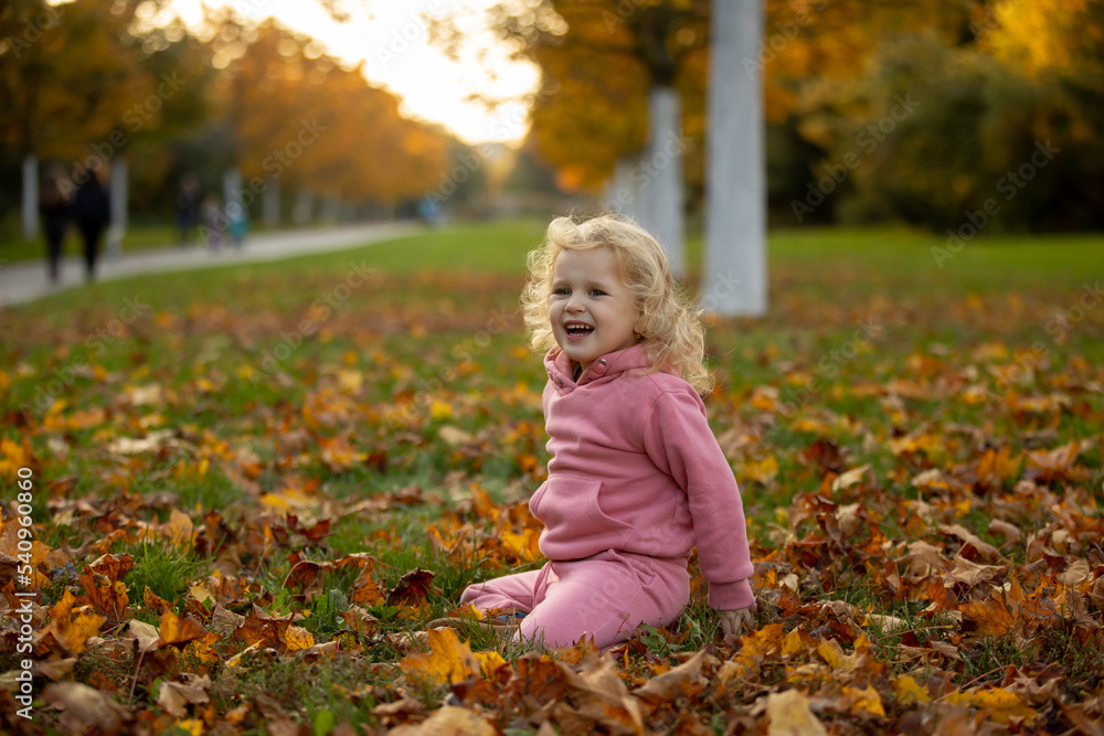 Cute blond toddler children boy and girl,walking in autumn park on sunset, enjoying the beautiful nature Cute blond toddler children boy and girl,walking in autumn park on sunset, enjoying the beautiful nature