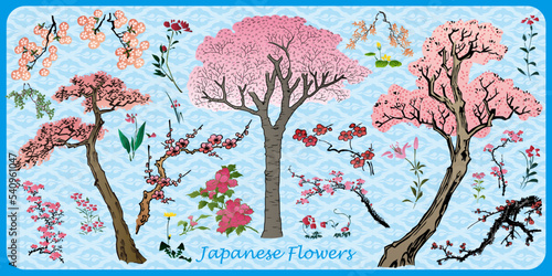 Japanese Flowers
