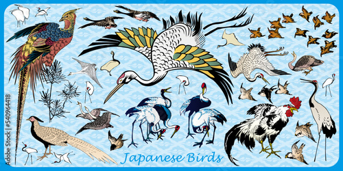 Japanese Birds