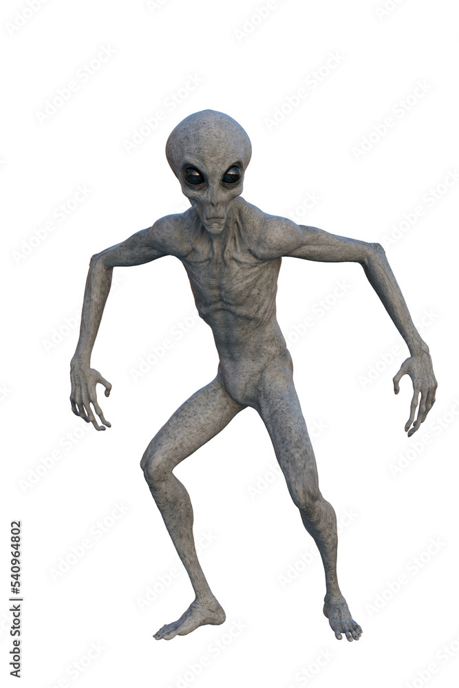 Grey Alien looking alert. 3D render isolated on transparent background. Grey Alien looking alert. 3D render isolated on transparent background.