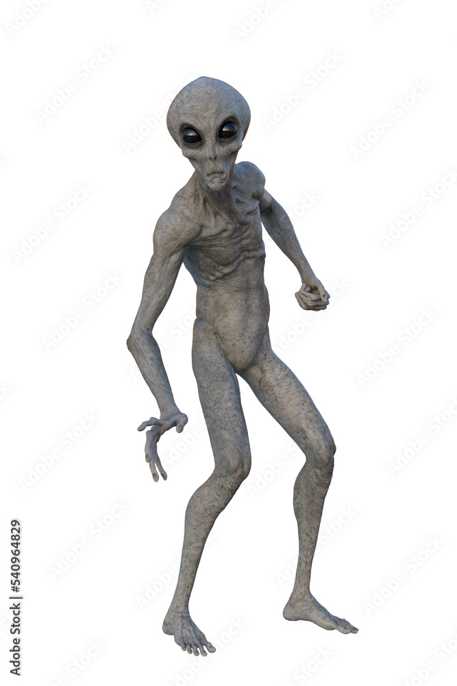 Grey Alien. 3D render isolated on transparent background. Grey Alien. 3D render isolated on transparent background.