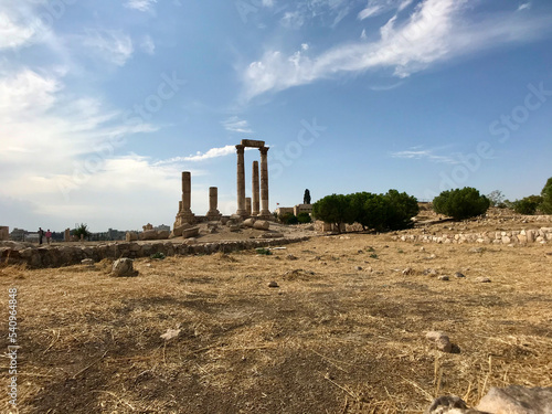 Amman, Jordan, November 2019 - A herd of sheep standing on top of a dry grass field