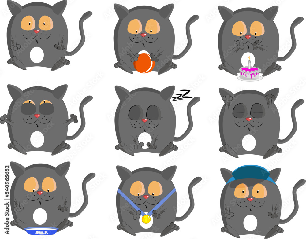 gray cat in different poses this is pack kitten gray cat in different poses this is pack kitten