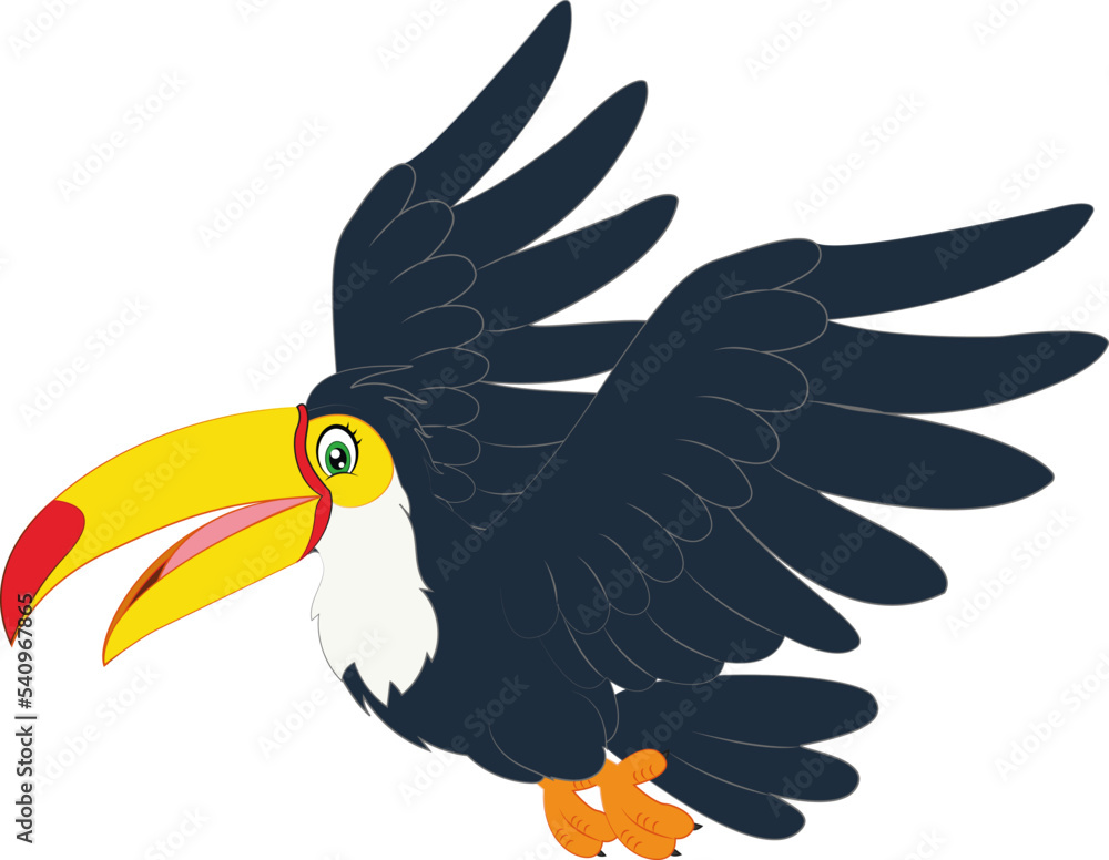 Obraz premium Hornbill bird cartoon