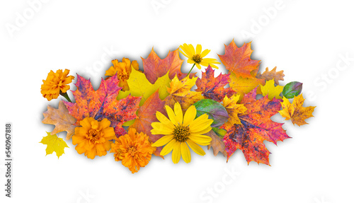 Fototapeta Naklejka Na Ścianę i Meble -  collage of autumn flowers and leaves