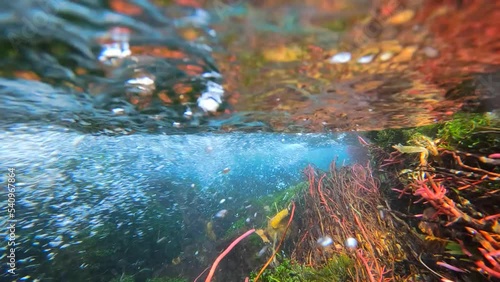 Acqua che scorre in flusso
Vista subacquea di un ruscello di montagna  photo