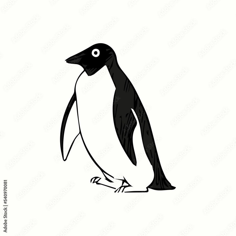 Obraz premium penguin illustration isolated white background