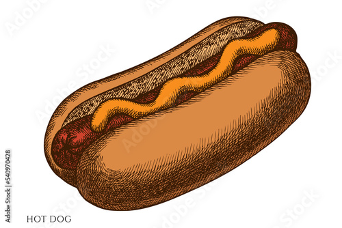 Carnival food hand drawn vector illustrations collection. Colored hot dog.