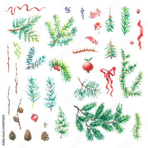 Vector element set of green natural forest pine trees fir branches of greenery, berries, cones are hand-painted in watercolor style.