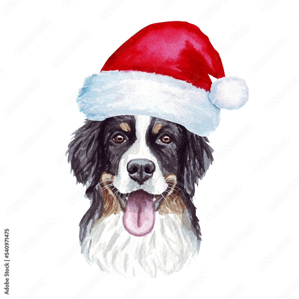 Bernese Mountain Dog with christmas lights in Santa's hat. Cute Christmas illustration