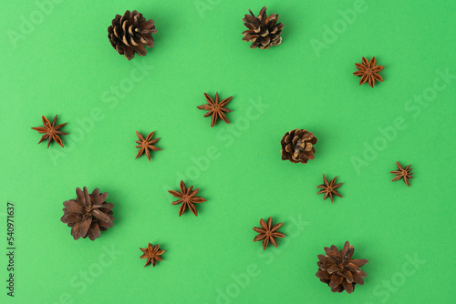 Cones and anise on a green background