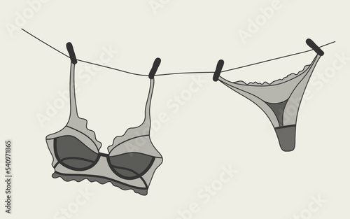 Women's underwear vector. Lingerie isolated. Women's clothing