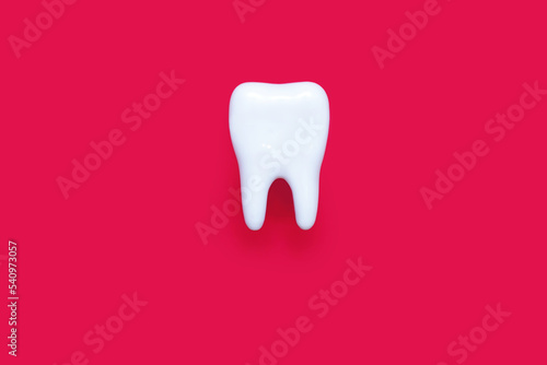A molar on a pink background in the center of the image. Medical concept of dental health and proper care of molars. Inspection of the root of the tooth. Perfect molar on isolated background