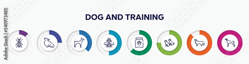 infographic element with dog and training outline icons. included null, corgi, doberman, bumblebee, treat, dogs, bernese mountain dog, greyhound vector.