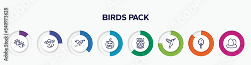 infographic element with birds pack outline icons. included dog paw, ghost, bird eating seeds, lantern, pets hotel, hummingbird, plain tree, egg vector.