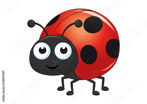 Ladybug character vector illustration. Cartoon ladybug isolated on white background © MihaiGr