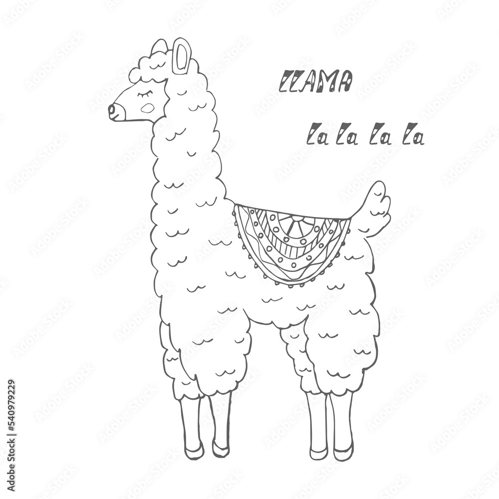 Naklejka premium vector image of a llama