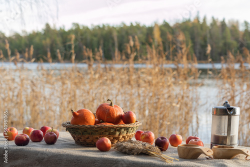 A beautiful basket with pumpkins, red apples, a teapot and black tea in wooden mugs on a table covered with a canvas tablecloth. Autumn still life on the background of the lake.