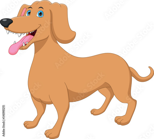 cute dog cartoon isolated on white background