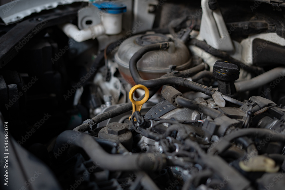 Fototapeta premium Dipstick for checking engine oil level