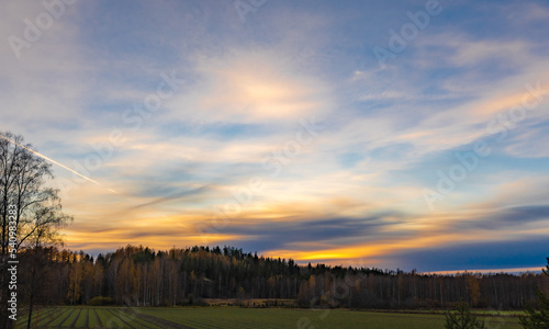 sunset over the field