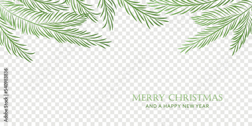 christmas winter background fir branches isolated transparent