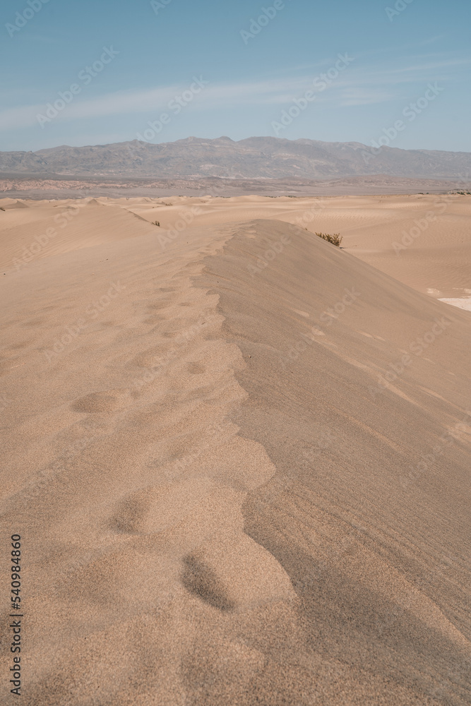Sand dunes in the Desert Sand dunes in the Desert
