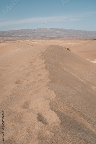 Sand dunes in the Desert