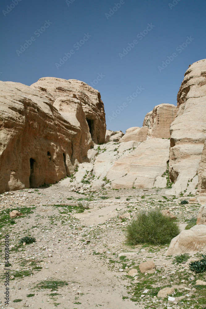 Petra, Jordan, November 2019 - A herd of sheep standing on top of a rocky mountain