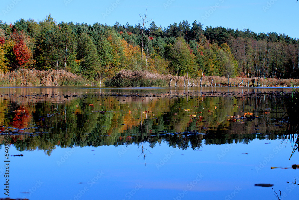 Obraz premium Autumn forest lake
