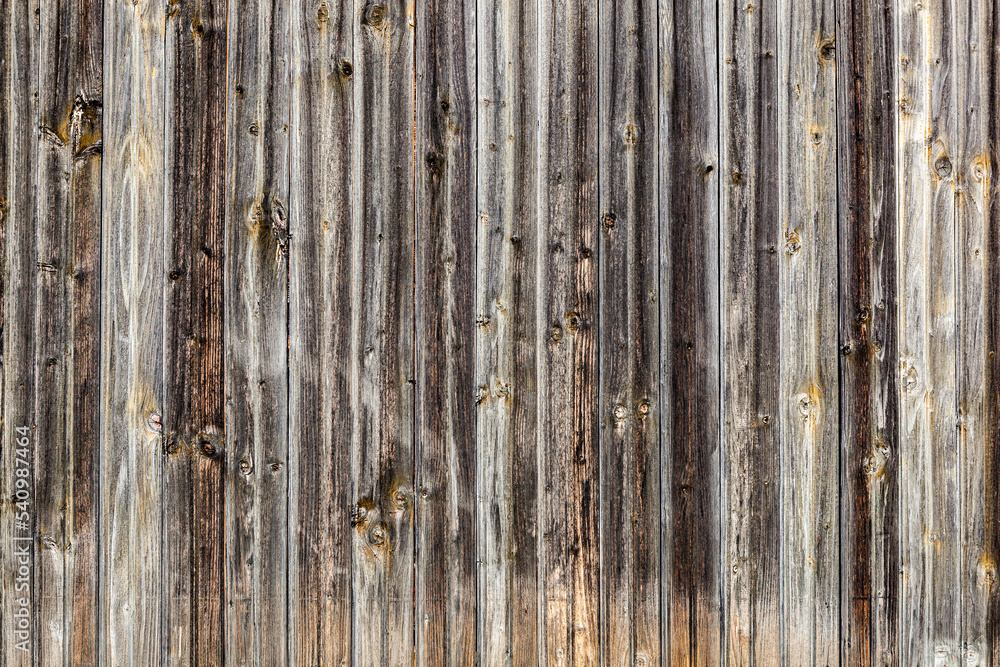 Fototapeta premium Group of vertical wooden panels background.