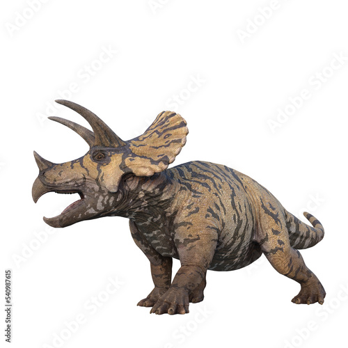 Triceratops large herbivorous dinosaur. 3D illustration isolated on transparent background.