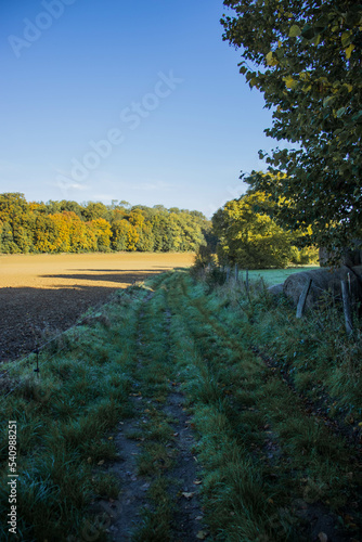 Petit sentier le long d'un champs un matin d'automne