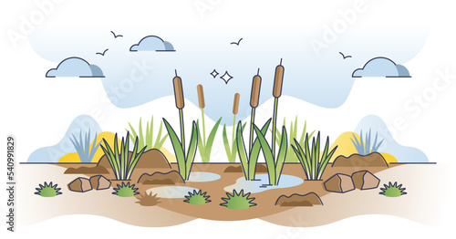 Peatlands or mires as decomposed organic material lands outline concept. Soil type with peat organic matter as rich nutrient and fertile land vector illustration. Sapropel biome and marsh environment. photo