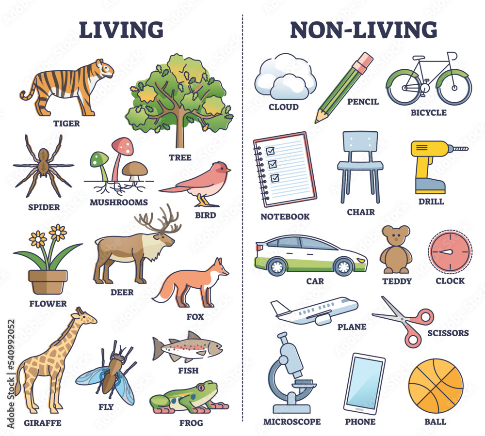 Living Vs Non Living Things Comparison For Kids Teaching Outline