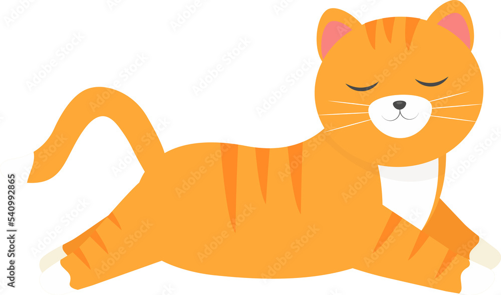 Obraz premium This is a cute orange cat