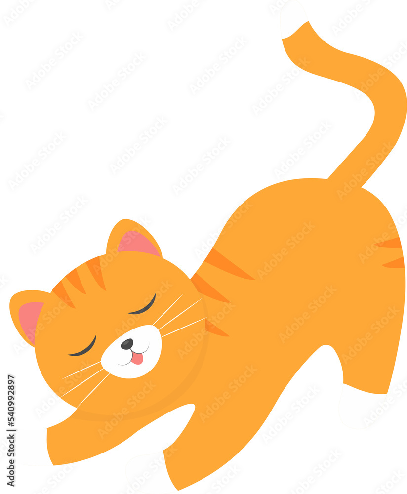 This is a cute orange cat This is a cute orange cat