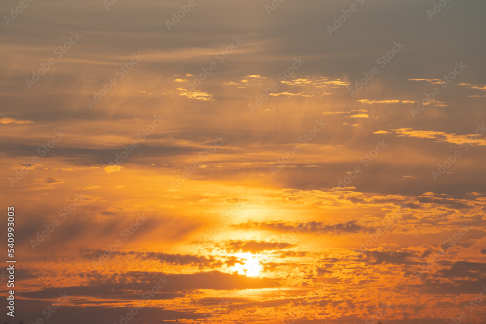 Fototapeta premium summer evening, sunset in yellow, orange and pink with clouds, background