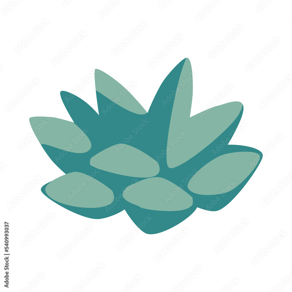 Pastel green succulent isolated on white background. House plant cartoon vector illustration. Florarium, terrarium, botanical interior concept Pastel green succulent isolated on white background. House plant cartoon vector illustration. Florarium, terrarium, botanical interior concept