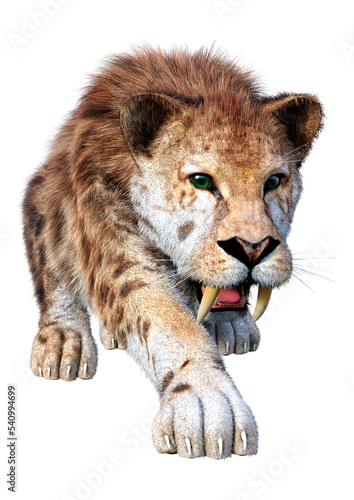 3D Rendering Sabertooth Tiger on White